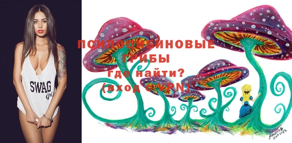 сатива Алексин