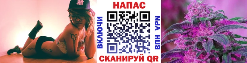 хочу наркоту  Любань  Канабис VHQ 